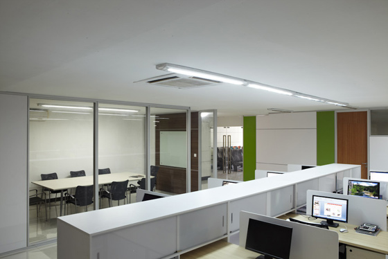 桃子视频在线观看