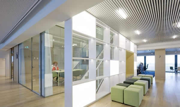 辦公桃子视频在线观看