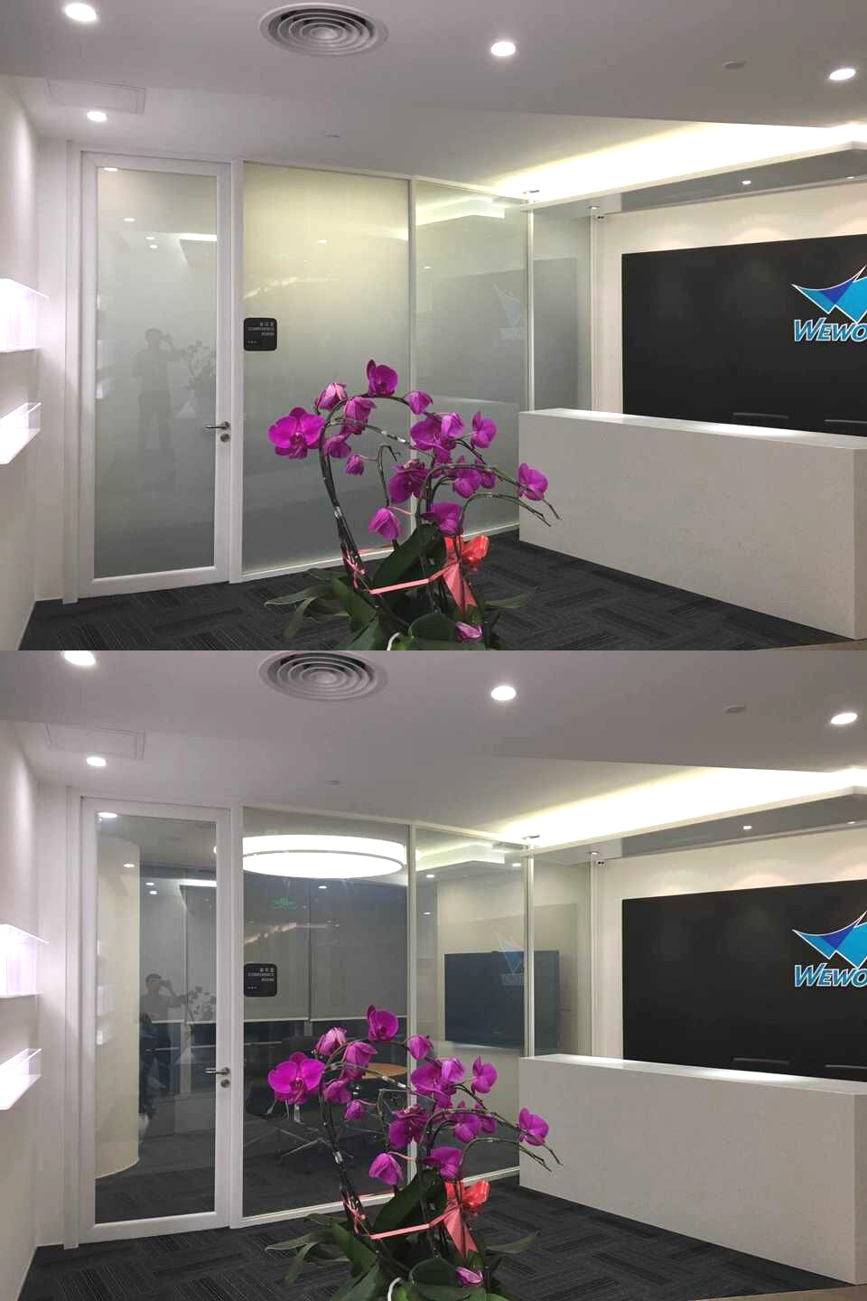 調光玻璃桃子视频在线观看